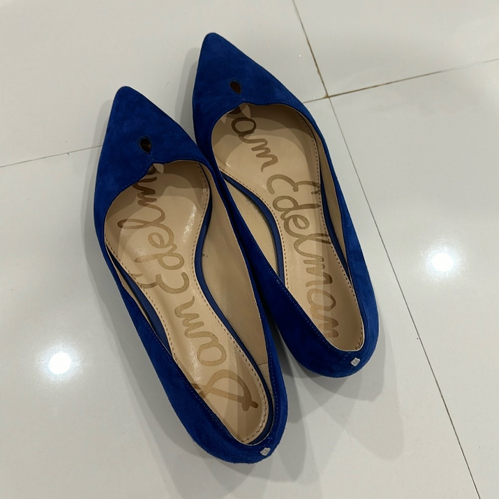 Sam Edelman Suede Ruby Flat 8.5 M